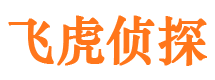 岱岳市场调查